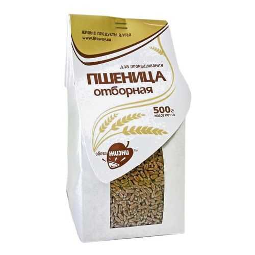 Пшеница Образ жизни отборная 500 г в Слата