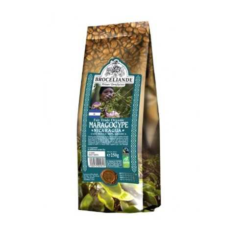 Кофе молотый Broceliande maragogype Nicaragua броселианд марагоджип Никарагуа 250 г в Слата